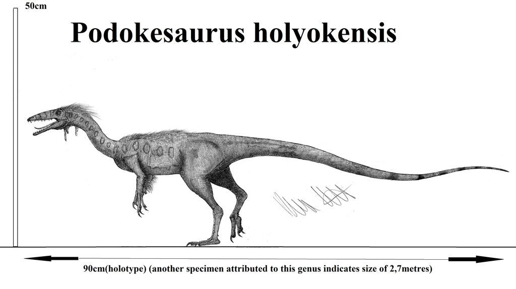 See the source image