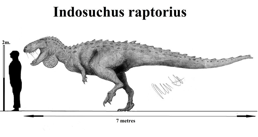 Indosuchus raptorius by Teratophoneus on DeviantArt