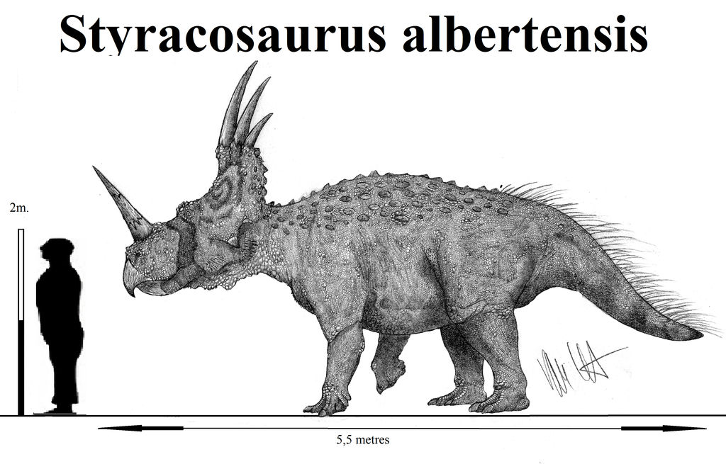Styracosaurus albertensis by Teratophoneus
