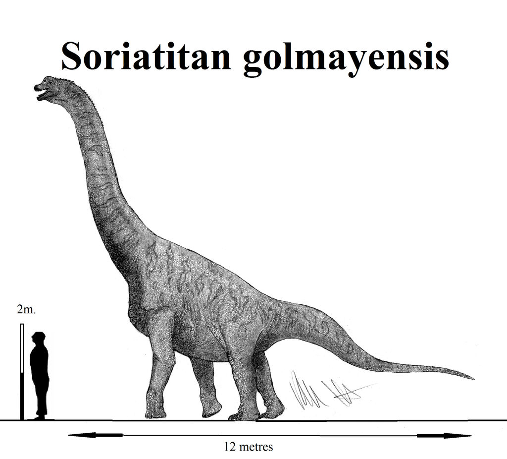 Soriatitan golmayensis by Teratophoneus