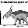Einiosaurus procurvicornis