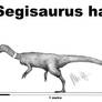 Segisaurus halli