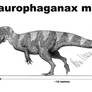 Saurophaganax maximus