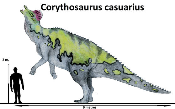 Explore The Best Corythosaurus Art DeviantArt explore-the-best-corythosaurus-art-deviantart
