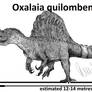 Oxalaia quilombensis