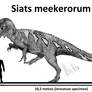 Siats meekerorum