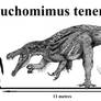 Suchomimus tenerensis