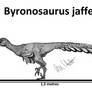 Byronosaurus jaffei