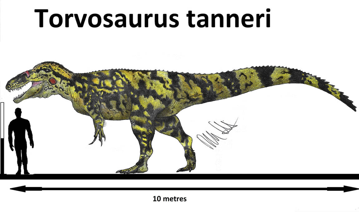 Torvosaurus tanneri