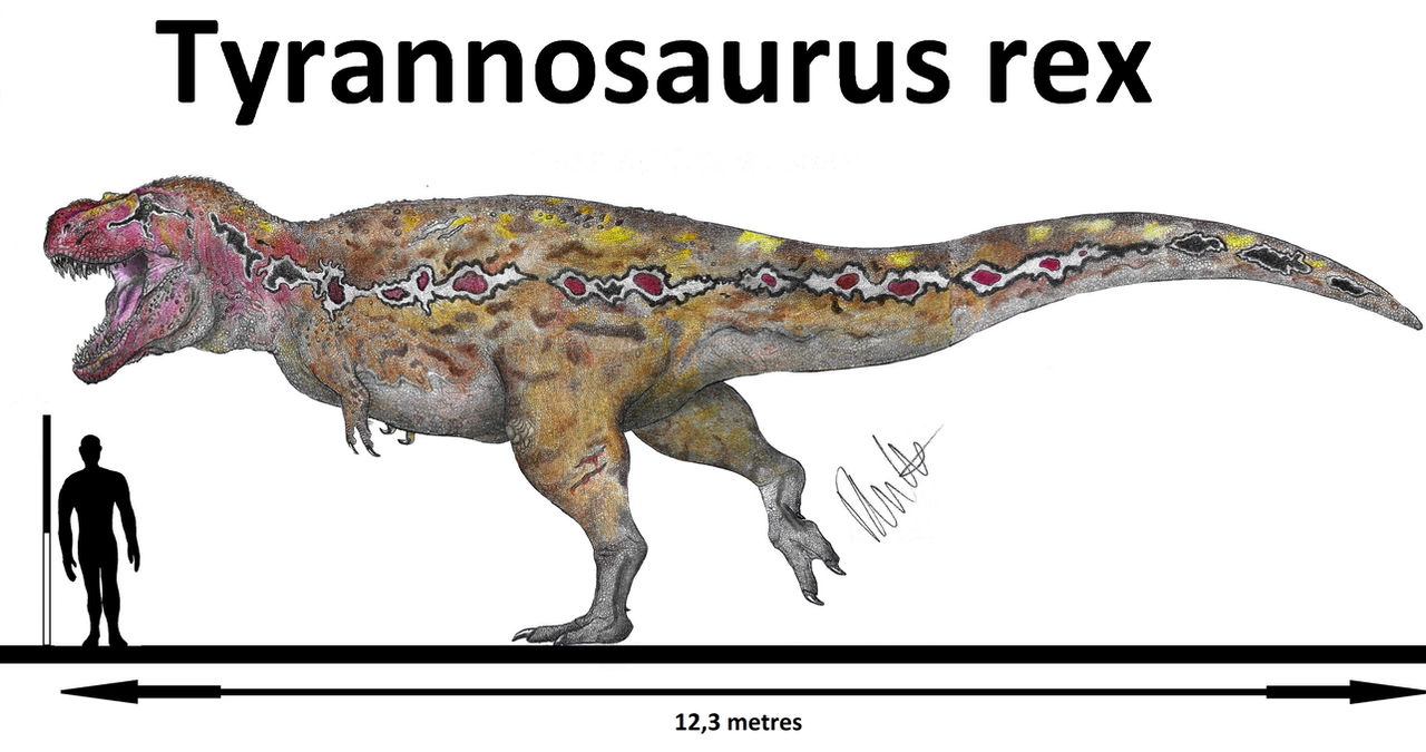 Tyrannosaurus rex 2k19