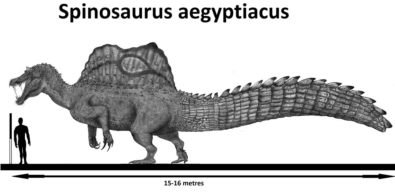 Spinosaurus aegyptiacus