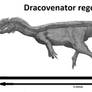 Dracovenator regenti