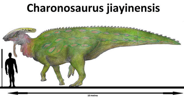 Explore the Best Charonosaurus Art | DeviantArt
