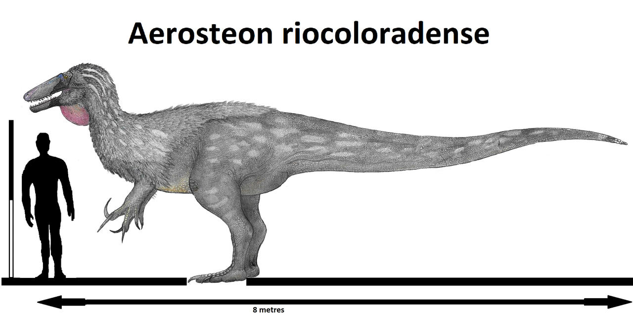 Aerosteon riocoloradense by Teratophoneus on DeviantArt