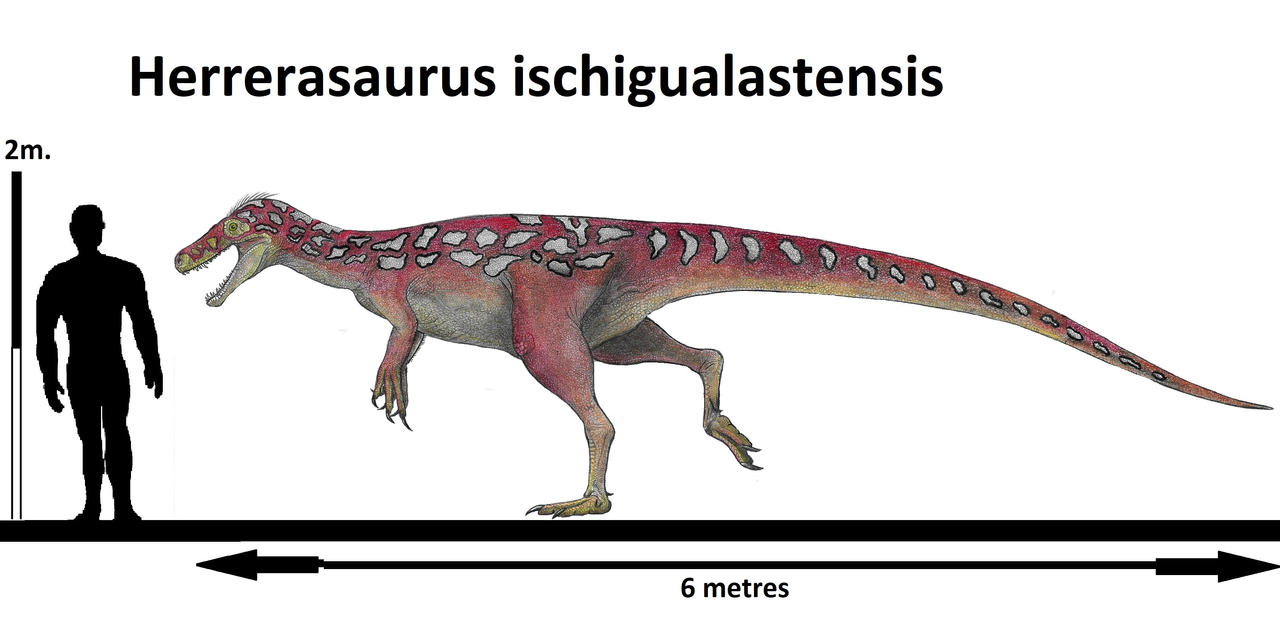 Herrerasaurus Size NEW Jurassic World Primal Attack Pack Herrerasaurus herrerasaurus-size-new-jurassic-world-primal-attack-pack-herrerasaurus