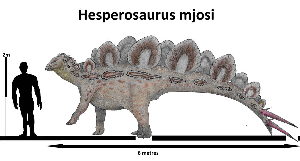 Hesperosaurus mjosi by Teratophoneus on DeviantArt