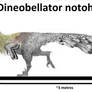 Dineobellator notohesperus