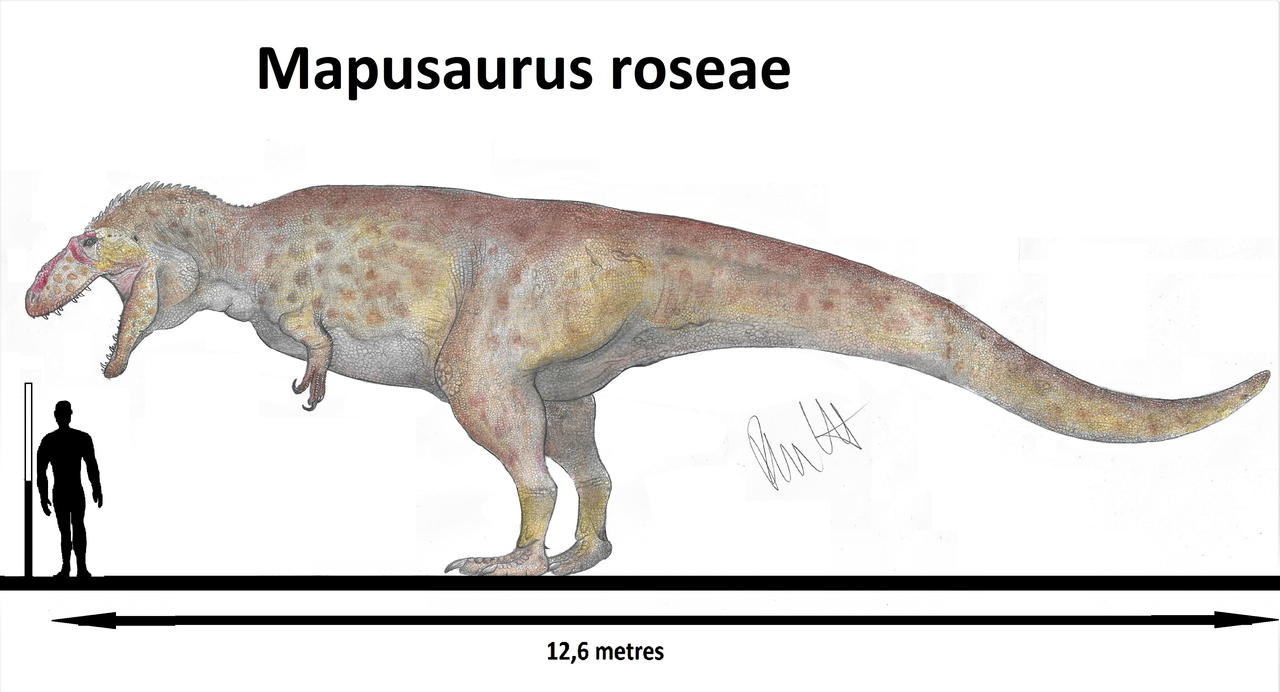 Mapusaurus roseae by Teratophoneus on DeviantArt