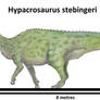 Hypacrosaurus stebingeri
