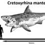 Cretoxyrhina mantelli