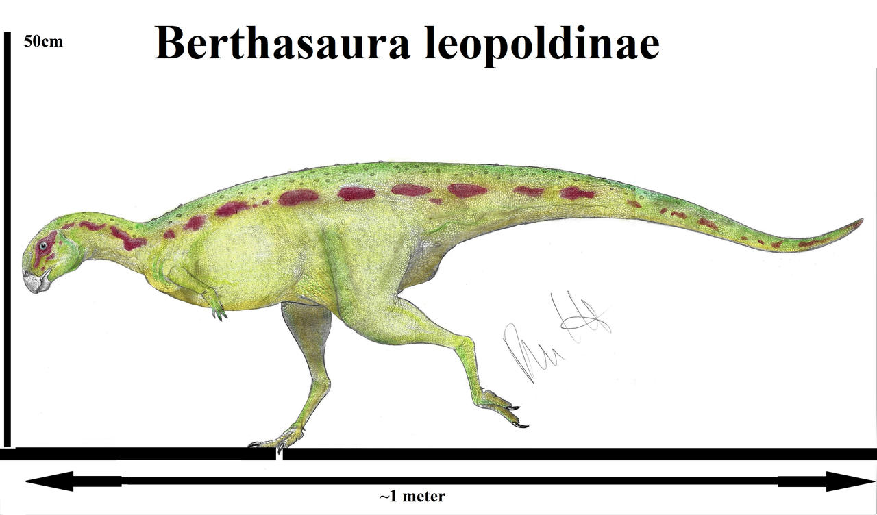 Berthasaura leopoldinae by Teratophoneus on DeviantArt
