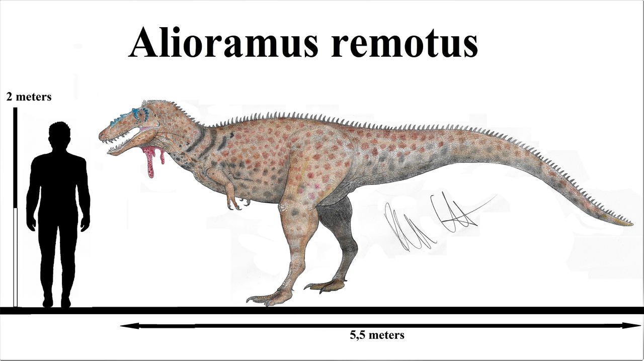 Alioramus remotus