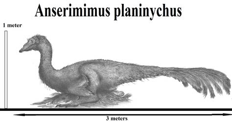 Anserimimus planinychus