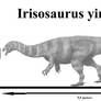 Irisosaurus yimenensis