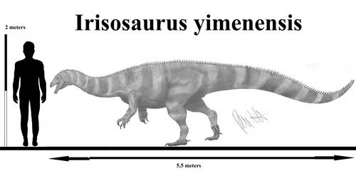 Irisosaurus yimenensis