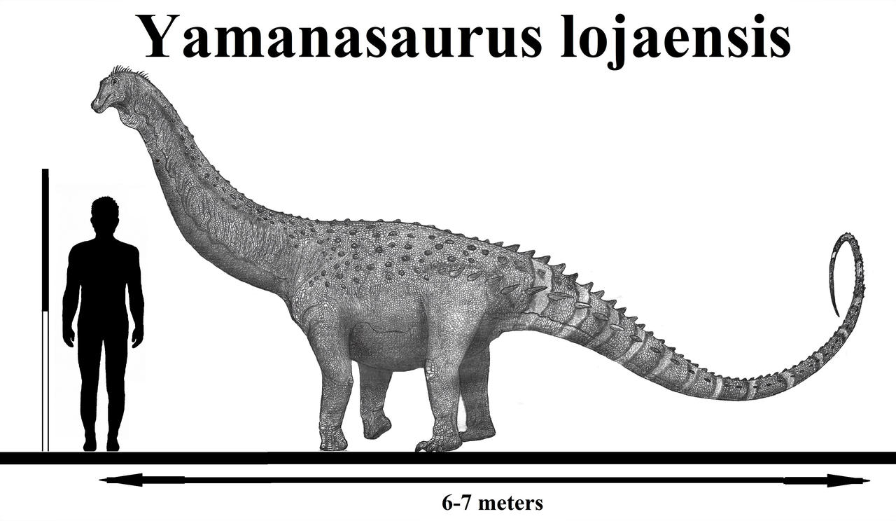 Yamanasaurus lojaensis by Teratophoneus on DeviantArt