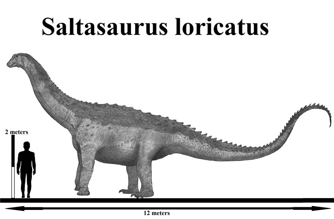 Saltasaurus loricatus by Teratophoneus on DeviantArt