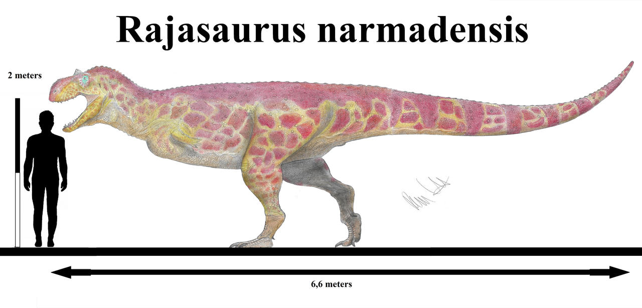 Rajasaurus narmadensis by Teratophoneus on DeviantArt