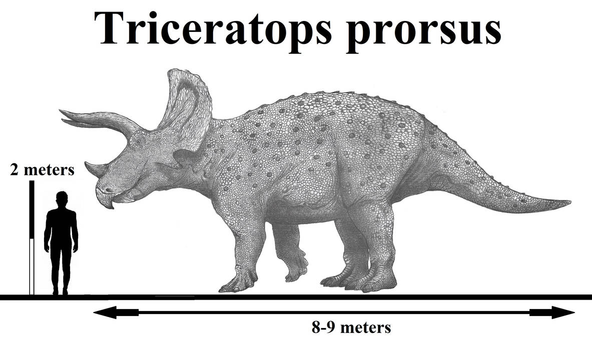 Triceratops Prorsus By Teratophoneus On DeviantArt triceratops-prorsus-by-teratophoneus-on-deviantart