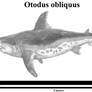 Otodus obliquus