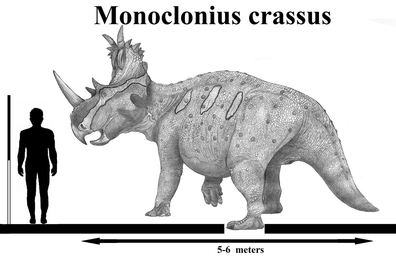 Monoclonius crassus by Teratophoneus on DeviantArt