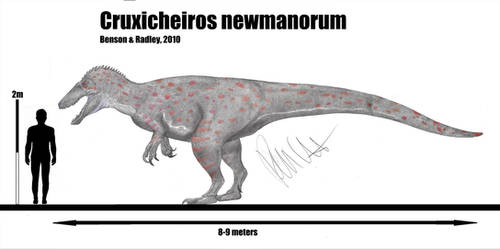 Cruxicheiros newmanorum