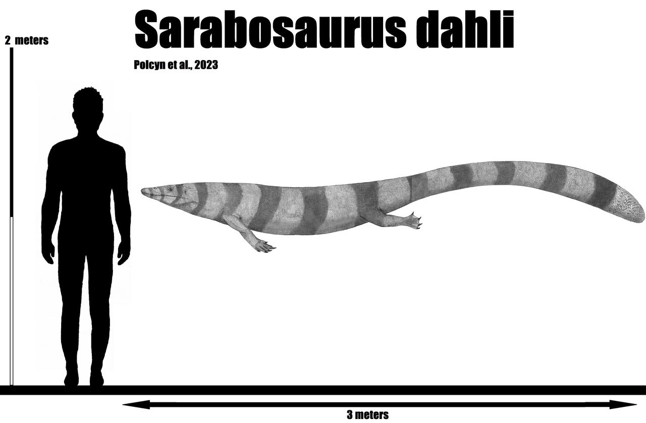 Sarabosaurus dahli