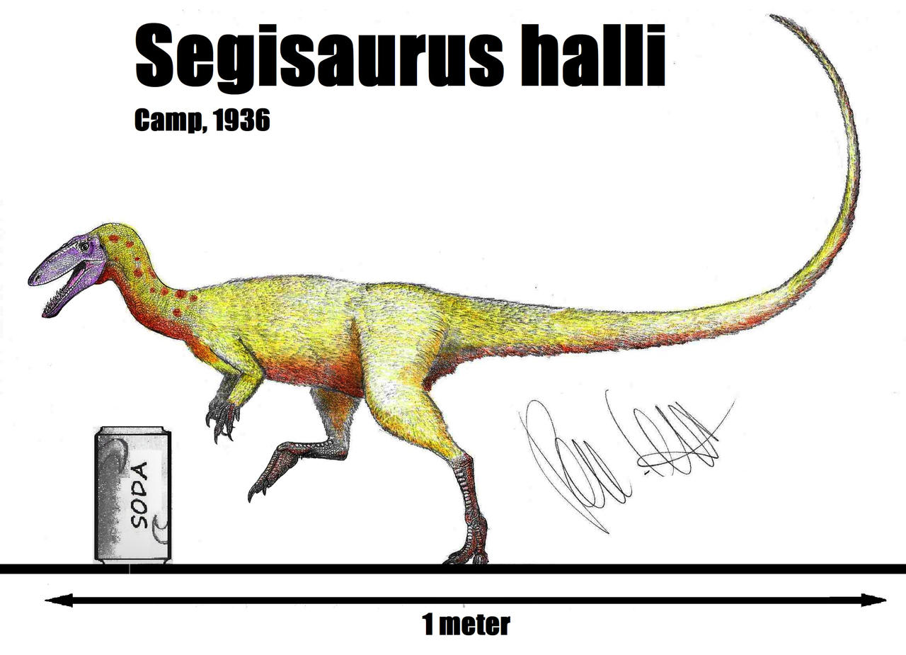 Segiosaurus Segisaurus halli by Teratophoneus on DeviantArt