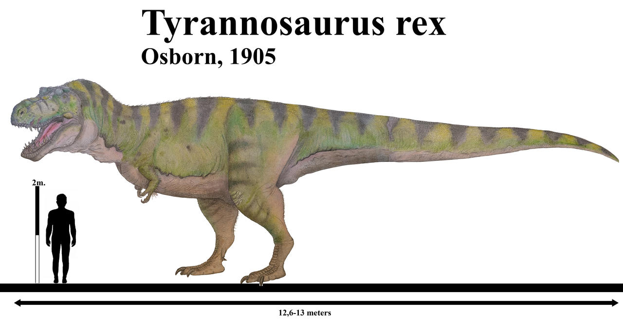 Tyrannosaurus rex 2k25