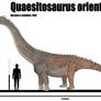 Quaesitosaurus orientalis