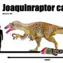 Joaquinraptor casali