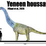 Yeneen houssayi