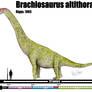 Brachiosaurus altithorax