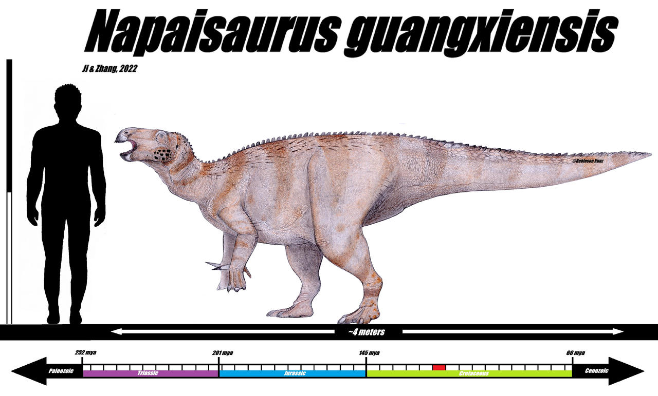 Napaisaurus guangxiensis
