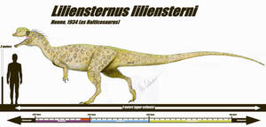 Liliensternus liliensterni