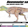 Neovenator salerii