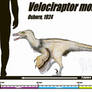 Velociraptor mongoliensis