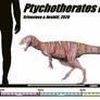 Ptychotherates bucculentus