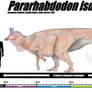 Pararhabdodon isonensis