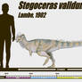 Stegoceras validum